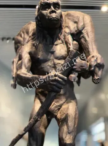 北京人火种起源