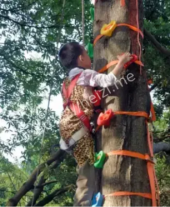 上海交大爬树课